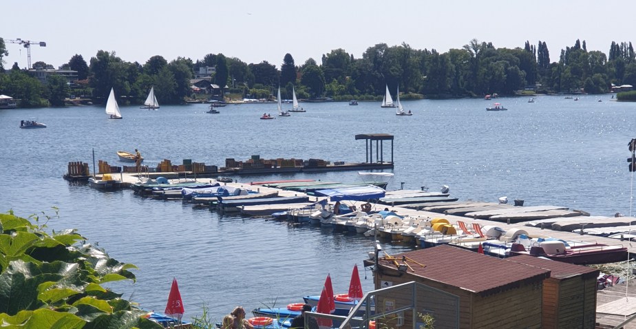 Badespass in der&nbsp;Donau