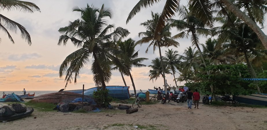 Umzug zum Marari&nbsp;Beach