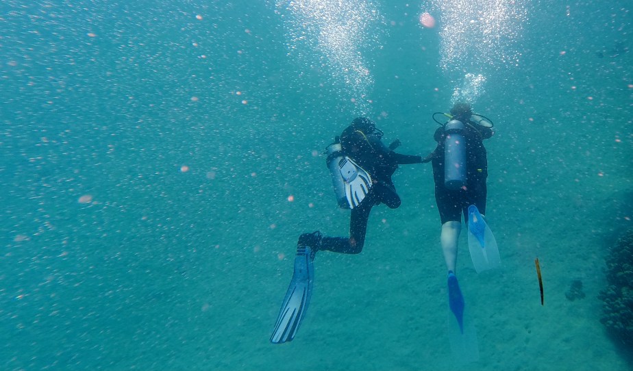 Discover Scuba Diving