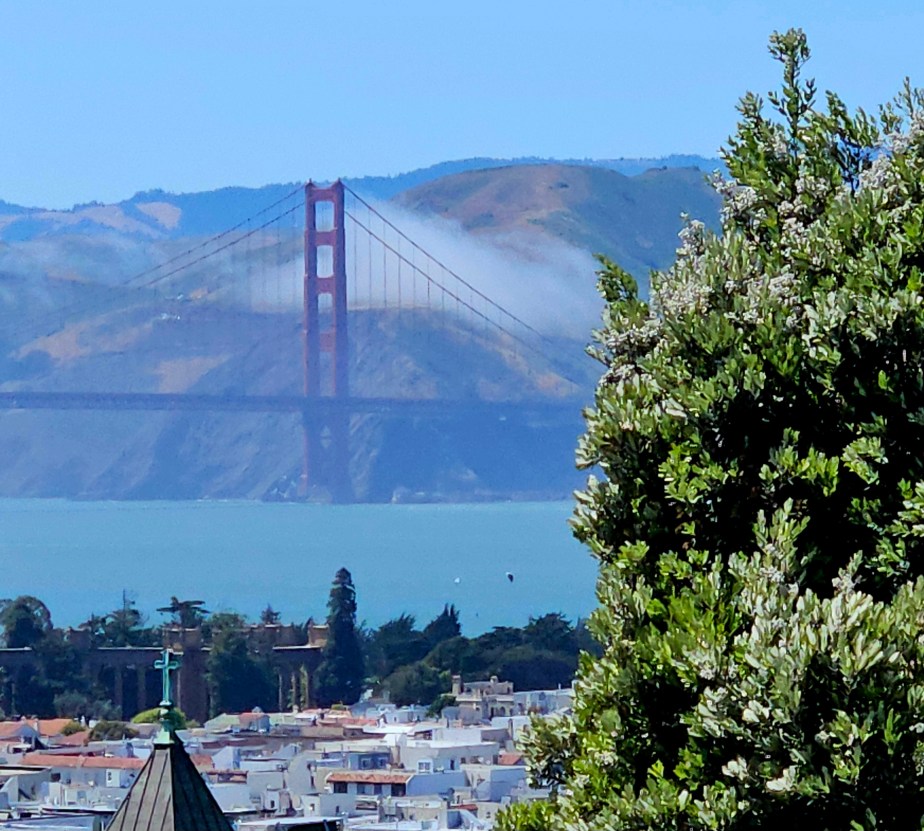Spaziergänge und Eisbaden in San&nbsp;Francisco