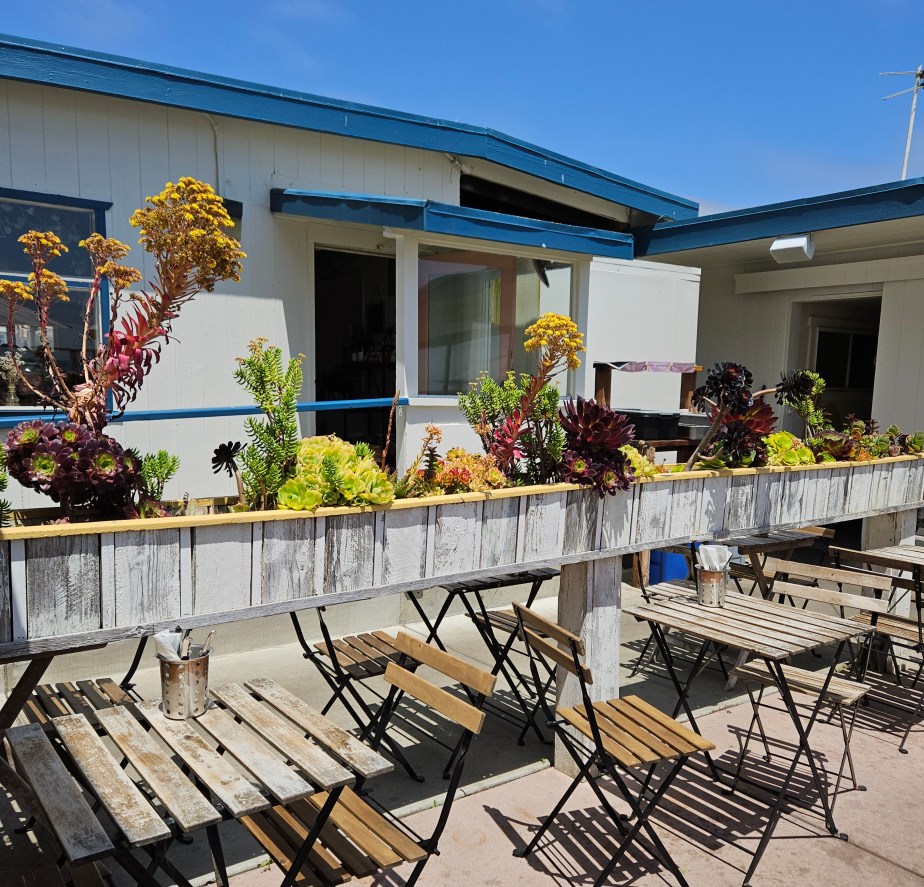 Blauer Mais am&nbsp;Strand