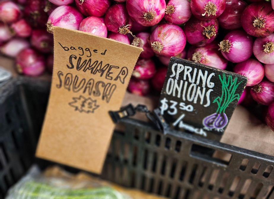 Sonntagsparty in Berkeley