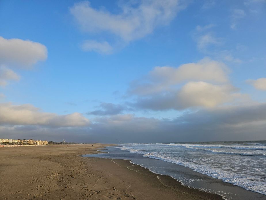 Fisch zum Frühstück