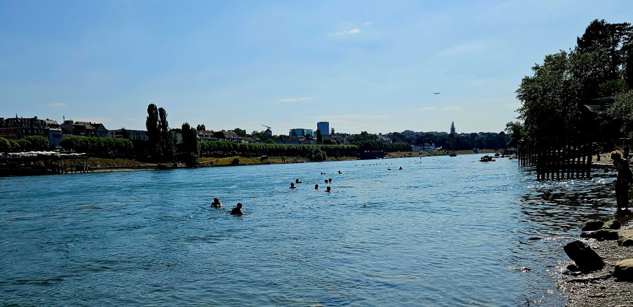 Rheintreiben auf 3&nbsp;Kilometern