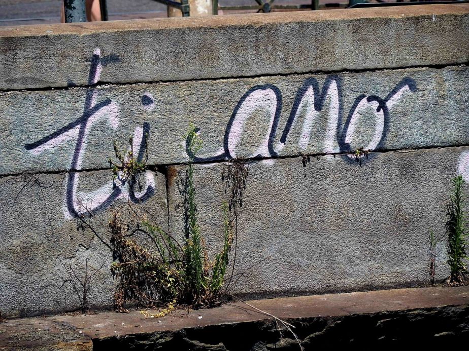 Vormittags am Po – unser letzter Tag in&nbsp;Turin