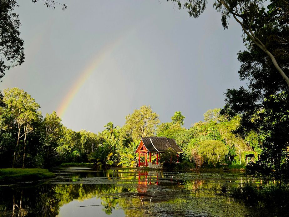Botanischer Garten Cairns
