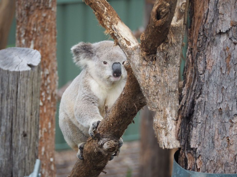 Ein Vormittag im&nbsp;Krankenhaus